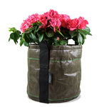 Mobiler Pflanz-Behälter ›Pot‹