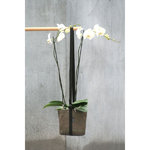 Mobile Blumenampel ›Pot Suspendu‹