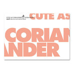 Bio-Saatgut ›cute as coriander‹ – Koriander